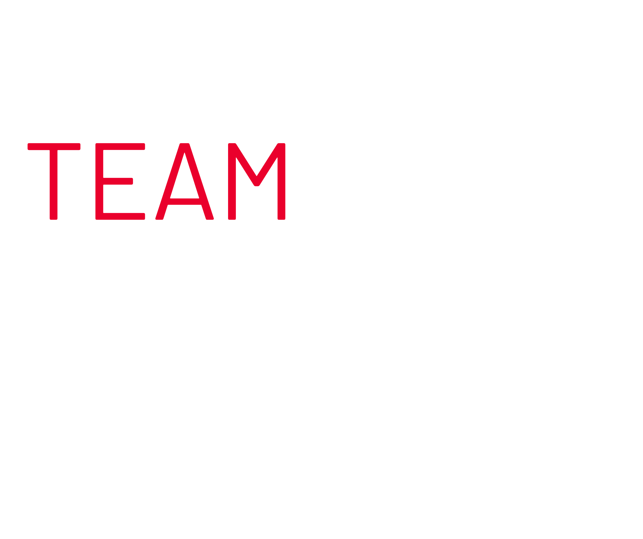Team Steven Levac